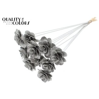 QC Shola Rozen op stok | Kleur: Platinakleurig | Shola Beetal Rose | Diameter 6 centimeter | Lengte ± 50 centimeter | 10 bijstekers per bos | Per bos