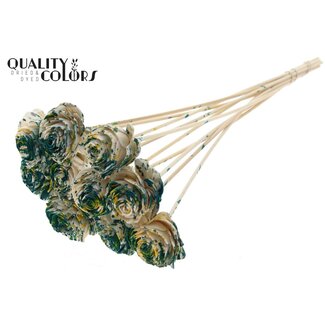 QC Shola Roos op stok | Kleur: Meerkleurig Groen Geel | Shola Beauty Rose | Diameter 6 centimeter | Lengte ± 50 centimeter | 10 bijstekers per bos | Per bos