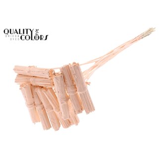 QC Kore Bouquet on stick | Colour: Apricot | Kore Stick-in | Stick-in length ± 50 centimetres | 10 stick-ins per bunch