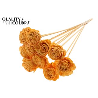 QC Shola rose on stem | Colour: Apricot-coloured | Shola Beauty Rose | Diameter 6 centimeter | Length ± 50 centimeter | 10 accessory picks per bunch | Per bunch