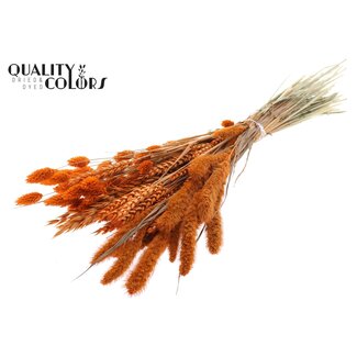 QC Boeket Gedroogde Bloemenmix | Kleur: Oranje | Lengte ± 60 centimeter | Per bos