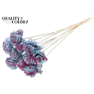 QC Shola Rose on stem | Colour: Speckled Light Blue Cherry-coloured | Shola Beauty Rose | Diameter 6 centimeter | Length ± 50 centimeter | 10 extra picks per bunch | Per bunch