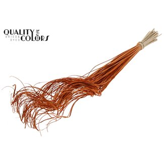 QC Dried Palm Leaf Vein | Curly Ting Ting | Colour: Orange | Length ± 70 centimetres | 100 stems per bunch | Per bunch