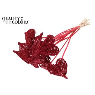 QC Rattan Lata Heart on stick | Colour: Red | Lata Heart flat Pick | Diameter 8 centimetres | Length ± 50 centimetres | 10 picks per bunch