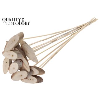QC Ovale Holzscheibe auf Stab | Farbe: Natürlich Hellbraun | Holzscheibe Einstecker | Durchmesser 5 - 7 Zentimeter | Länge ± 50 Zentimeter | 10 Einstecker pro Bund | Pro Bund