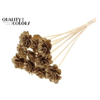 QC Shola Rose on stem | Colour: Antique Gold-coloured | Shola Beetal Rose | Diameter 6 centimetre | Length ± 50 centimetre | 10 picks per bunch | Per bunch