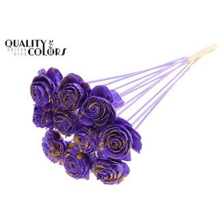 QC Shola Rose on stem | Colour: Speckled Purple Yellow | Shola Beauty Rose | Diameter 6 centimeter | Length ± 50 centimeter | 10 picks per bunch | Per bunch