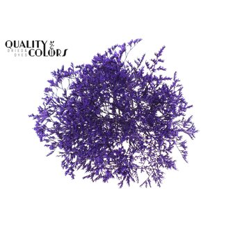 QC Dried Sea Lavender | Colour: Purple | Limonium Tataricum Dried Flowers | Length ± 30 cm | Weight 45 grams | Per bunch