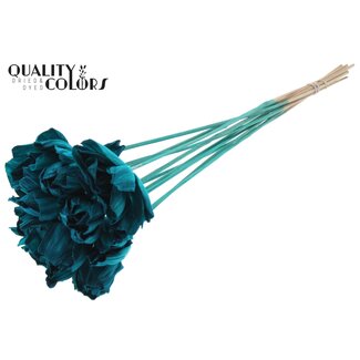QC Shola Roos op stok | Kleur: Turquoise | Shola Dear Holly | Diameter 6 centimeter | Lengte  ± 50 centimeter | 10 bijstekers per bos | Per bos