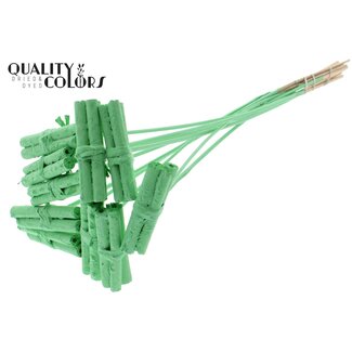QC Decorative Jute Stick Posy on a Stick | Colour: Mint Green | Jute Stick Posy Stem | Length ± 50 centimetres | 10 stems per bunch