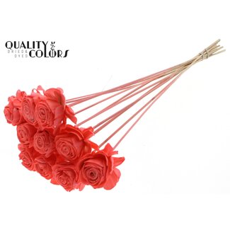 QC Shola Rose on stem | Colour: Coral-coloured | Shola Beauty Rose | Diameter 6 centimeter | Length ± 50 centimeter | 10 inserts per bunch | Per bunch