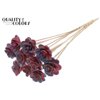 QC Shola Houten Roos op stok | Kleur: Verloop Roze | Shola Beetal Rose Bijsteker | Diameter roos 6 centimeter | Lengte bijsteker ± 50 centimeter | 10 bijstekers per bos