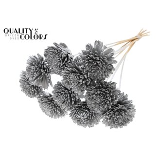 QC Shola Zinnia Bloem op stok | Kleur: Zilverkleurig | Shola Zinia | Diameter 8 centimeter | Lengte ± 50 centimeter | 10 bijstekers per bos | Per bos