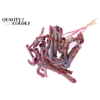 QC Gandiraj Branches on Stick | Colour: Pink Gradient | Gandiraj Insert Stick | Length ± 50 centimetres | 10 insert sticks per bunch