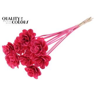 QC Shola Rozen op stok | Kleur: Kerskleurig | Shola Beetal Rose | Diameter 6 centimeter | Lengte ± 50 centimeter | 10 bijstekers per bos | Per bos