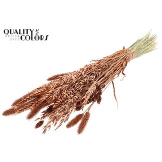 QC Bouquet of Dried Flower Mix | Colour: Copper with Glitter | Length ± 60 centimetres | Per bunch