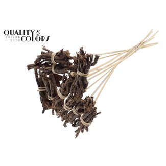 QC Decorative Coco Rose Posy on Stick | Colour: Natural Brown | Coco Rose Posy Stick | Stick Length ± 50 centimetres | 10 sticks per bunch