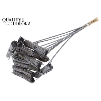 QC Bouquet Kore sur tige | Couleur : Graphite métallique | Piquet Kore | Longueur du piquet ± 50 centimètres | 10 piquets par bouquet
