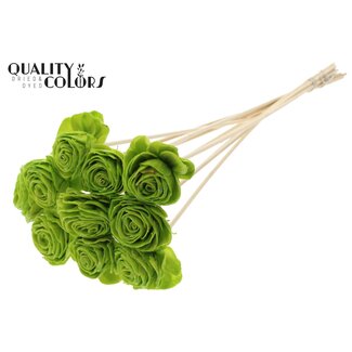 QC Shola Rozen met was op stok | Kleur: Lichtgroen | Shola Beauty Rose | Diameter 6 centimeter | Lengte ± 50 centimeter | 10 bijstekers per bos | Per bos