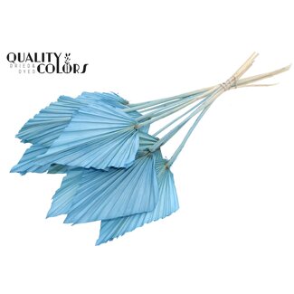 QC Dried Bleached Palm Spear | Colour: Light Blue | Palm Leaves in Spear Shape | Length ± 55 centimetres | 10 stems per bunch | Per bunch