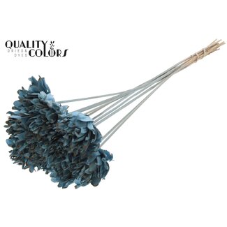 QC Shola Dennenhouten Bloem op stok | Kleur: Lichtblauw | Shola Slice Pine Bijsteker | Diameter bloem 6 centimeter | Lengte ± 50 centimeter | 10 bijstekers per bos