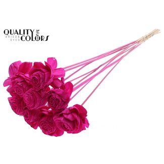 QC Shola Roos op stok | Kleur: Lilakleurig | Shola Beauty Rose | Diameter 6 centimeter | Lengte ± 50 centimeter | 10 bijstekers per bos | Per bos