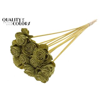 QC Shola Rose on stem | Colour: Olive green | Shola Beauty Rose | Diameter 6 centimeter | Length ± 50 centimeter | 10 picks per bunch | Per bunch