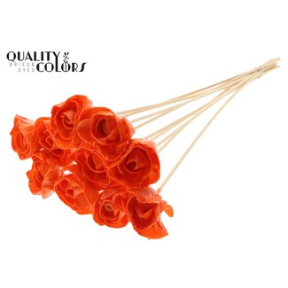 QC Shola Rozen met was op stok | Kleur: Oranje | Shola Dear Holly | Diameter 6 centimeter | Lengte  ± 50 centimeter | 10 bijstekers per bos | Per bos