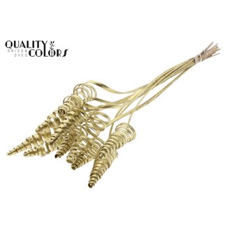 QC Palm Spiral on Stem | Colour: Gold | Cane Cone Plant Stake | Stake Length ± 50 centimetres | Per 10 stakes