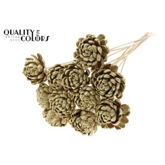 QC Shola Wooden Rose on Stick | Colour: Gold | Shola New Beauty Rose Stick | Rose Diameter 8 centimetres | Stick Length ± 50 centimetres | 10 sticks per bunch