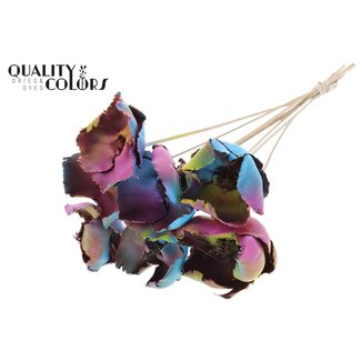 QC Dried Palm Cup on stem | Ibiza mix | Colour: Mixed Colours | Length ± 50 centimetres | 10 stems per bunch