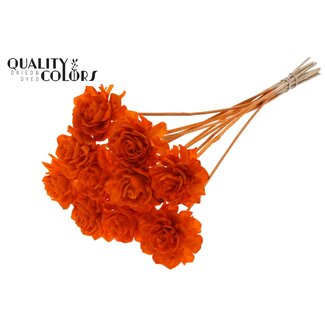 QC Shola Rozen op stok | Kleur: Oranje | Shola Beauty Rose | Diameter 6 centimeter | Lengte ± 50 centimeter | 10 bijstekers per bos | Per bos