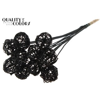 QC Rotan Bal op stok | Kleur: Zwart | Bruce Ball Bijsteker | Diameter 5 centimeter | Lengte ± 50 centimeter | 10 bijstekers per bos