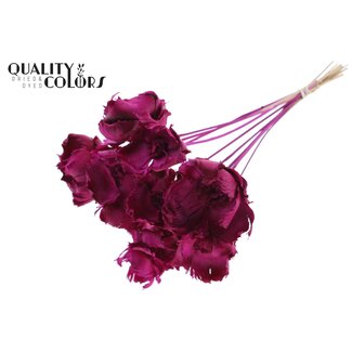 QC Dried Bleached Palm Cup on stem | Colour: Lilac | Length ± 50 centimetres | 10 stems per bunch