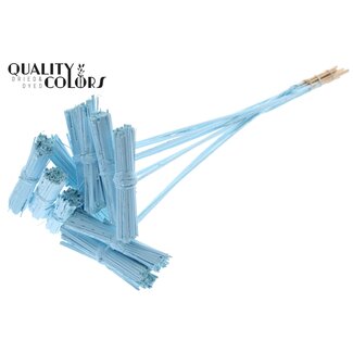 QC Kore Bouquet sur tige | Couleur : Bleu clair | Kore Pique-fleurs | Longueur du pique-fleurs ± 50 centimètres | 10 piques-fleurs par bouquet