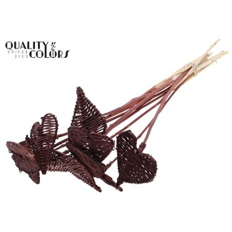 QC Rattan Lata Heart on stick | Colour: Brown | Lata Heart flat Plant Stake | Diameter 8 centimetres | Length ± 50 centimetres | 10 stakes per bunch