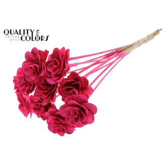QC Shola Houten Roos op stok | Kleur: Kerskleurig | Shola Beetal Rose Bijsteker | Diameter roos 8 centimeter | Lengte bijsteker ± 50 centimeter | 10 bijstekers per bos