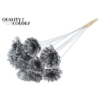 QC Shola Wooden Daisy Sunflower on stick | Colour: Silver | Shola Daisy Sunflower Stick | Flower diameter 6 centimetres | Stick length ± 50 centimetres | 10 sticks per bunch