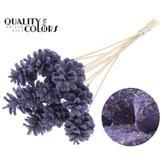 QC Pine cone on stick | Colour: Sawdust Milkapurple | Diameter 5 - 7 centimetres | Length ± 50 centimetres | 10 picks per bunch