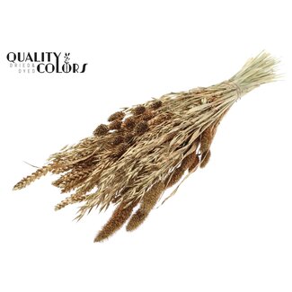 QC Bouquet of Dried Flower Mix | Colour: Antique Gold with Glitter | Length ± 60 centimetres | Per bunch