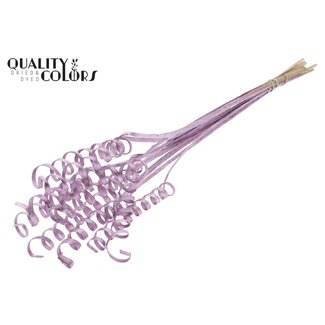 QC Palm Spiraal op steel | Kleur: Metallic Roze | Cane Cone Bijsteker | Lengte bijsteker ± 50 centimeter | Per 10 bijstekers