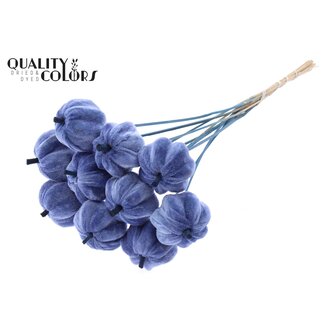 QC Velvet Pumpkin on a Stick | Colour: Blue | Pumpkin Pick | Pumpkin Diameter 6 centimetres | Length ± 50 centimetres | 10 picks per bunch
