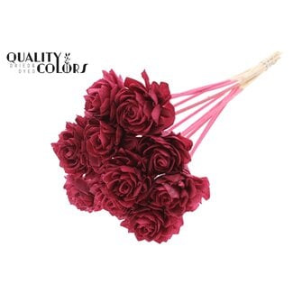 QC Shola Dahlia on stem | Colour: Bordeaux red | Shola Dhalya | Diameter 6 centimeter | Length ± 50 centimeter | 10 bijstekers per bos | Per bunch