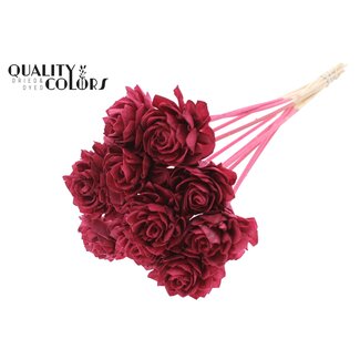 QC Shola Dahlia sur tige | Couleur: Bordeaux | Shola Dhalya | Diamètre 6 centimètre | Longueur ± 50 centimètre | 10 tiges d'appoint par bouquet | Par bouquet