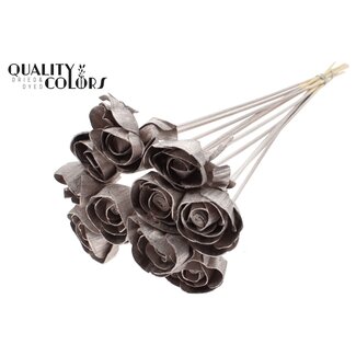 QC Shola Houten Roos op stok | Kleur: Champagnekleurig | Shola Dear Holly Bijsteker | Diameter roos 6 centimeter | Lengte bijsteker ± 50 centimeter | 10 bijstekers per bos