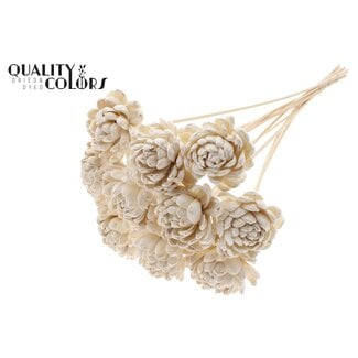 QC Shola Houten Roos op stok | Kleur: Naturelle Wit | Shola New Beauty Rose Bijsteker | Diameter roos 8 centimeter | Lengte bijsteker ± 50 centimeter | 10 bijstekers per bos