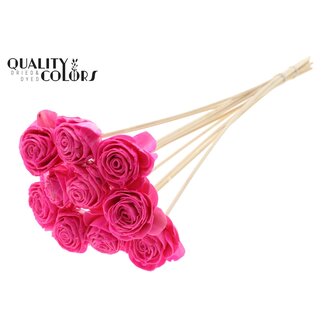 QC Shola Beauty Rose 6cm on stem Wax Cerise