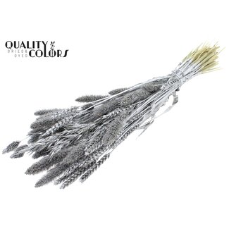 QC Trockenblumenstrauß-Mix | Farbe: Silberfarben | Länge ± 60 Zentimeter | Pro Bund