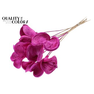 QC Bleached Badam on stick | Colour: Lilac | Length of stick approximately 50 centimetres | 10 sticks per bunch