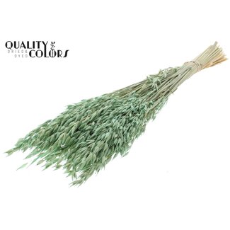 QC Getrockneter Hafer Premium | Farbe: Frosted Mintgrün | Avena Premium Trockenblumen | Länge ± 70 Zentimeter | Gewicht 200 Gramm | Pro Bund